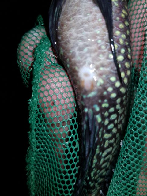 20170629_232316.jpg