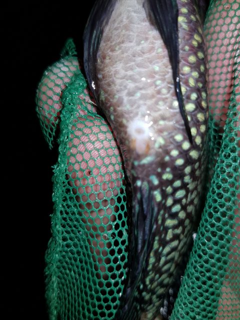 20170629_232312.jpg