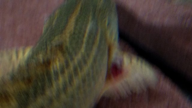 20170627_225626.jpg 20170627_225626.jpg