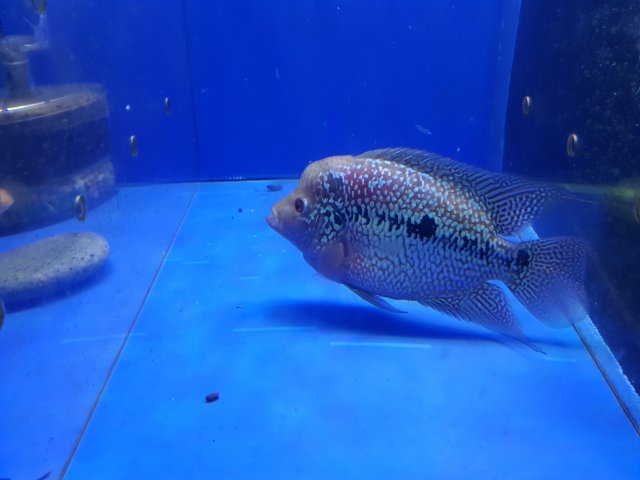 20170702_204816.jpg 20170702_204816.jpg