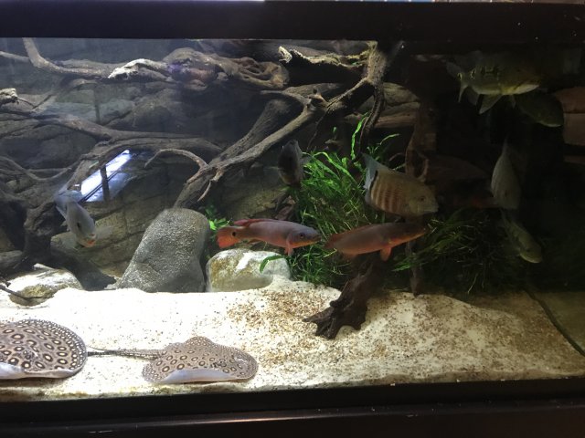 IMG_1645.JPG IMG_1645.JPG