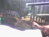 Picture007.jpg