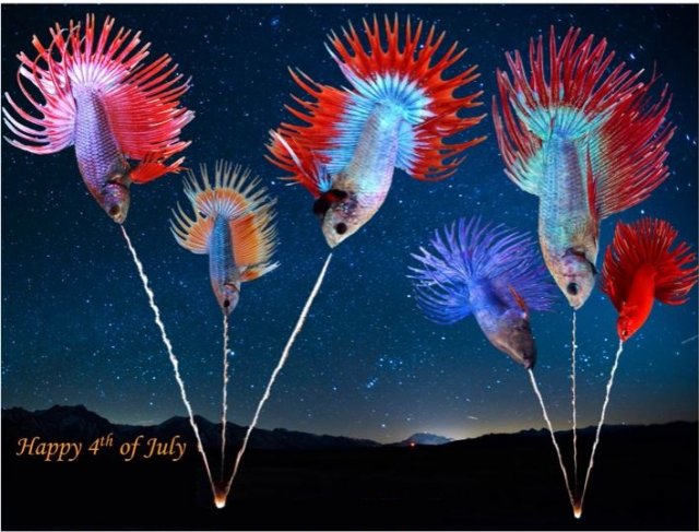 fish4th.JPG