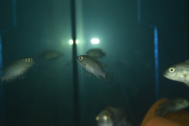 IMG_7890.JPG