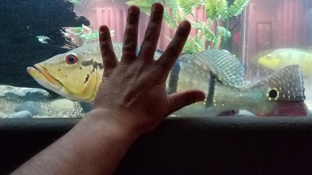 20170114_211745.jpg