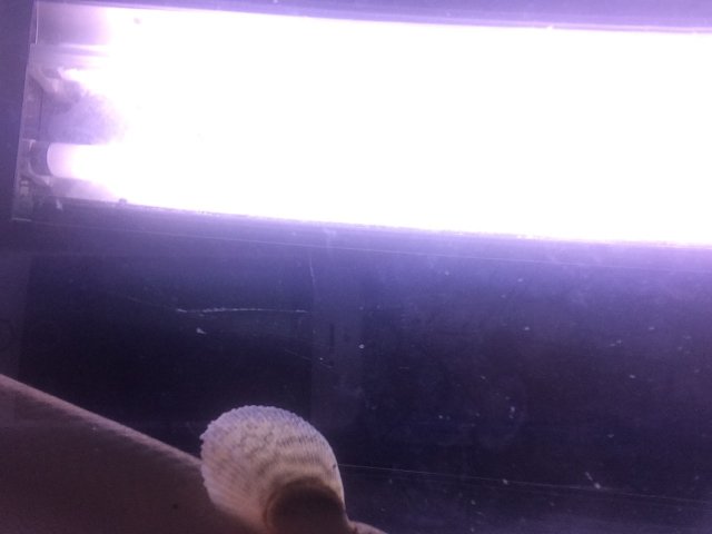 IMG_1359.jpg IMG_1359.jpg