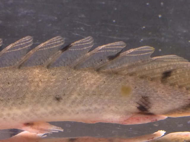 IMG_1356.jpg IMG_1356.jpg