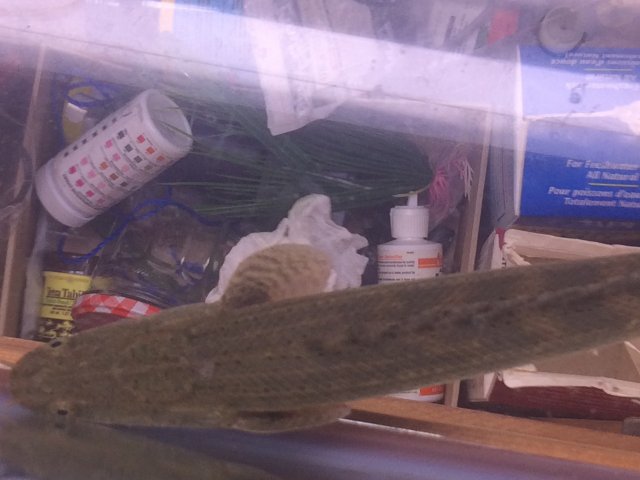 IMG_1355.jpg IMG_1355.jpg