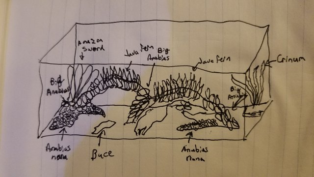 20170702_234935.jpg