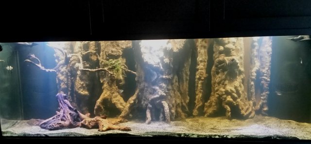 2017-07-05 14.42.43.jpg 2017-07-05 14.42.43.jpg