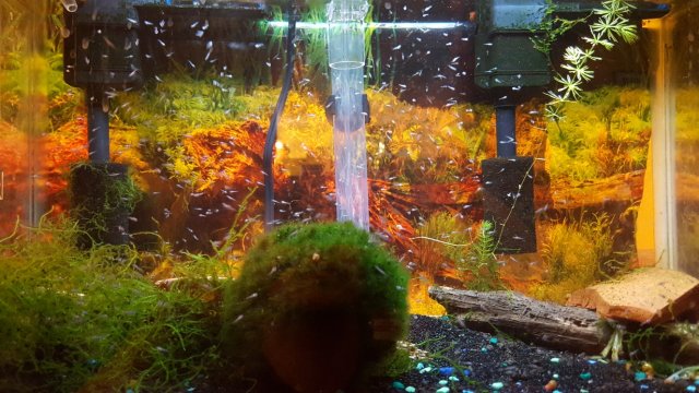 TMA: Fri Jul 07 2017 20:43:03 GMT-0700 (PDT).jpg