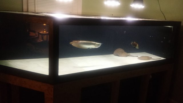0705172058c.jpg