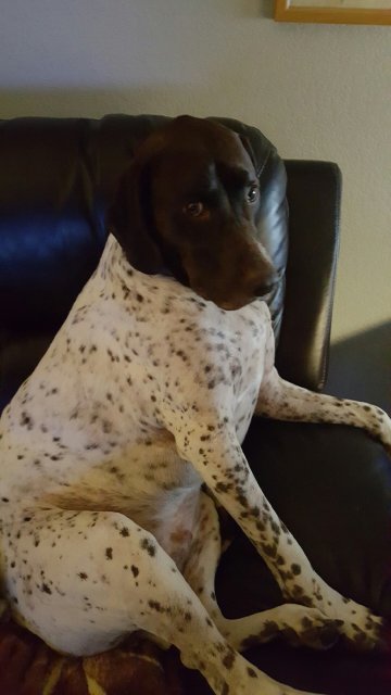 20150924_202901.jpg