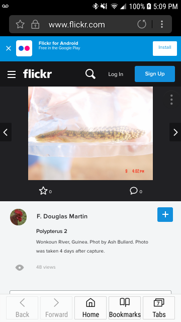 Screenshot_20170708-170935.png