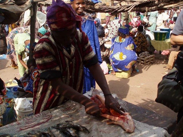 guinea40.jpg