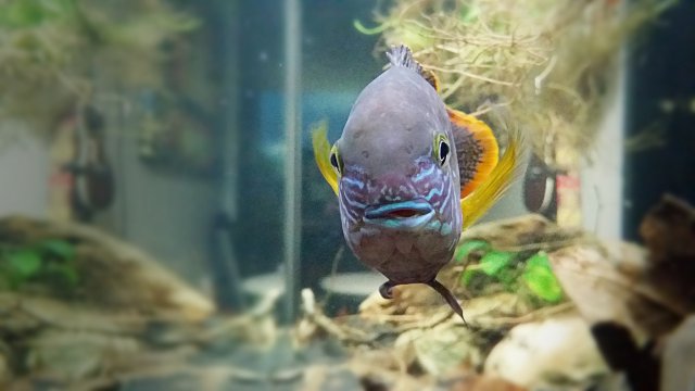 IMG_20170628_122301.jpg IMG_20170628_122301.jpg