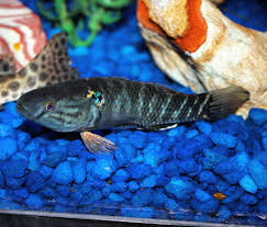 IMG_3993.JPG IMG_3993.JPG