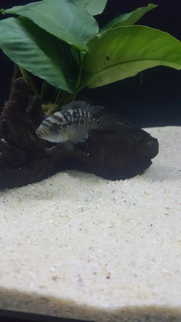 20170714_003154.jpg 20170714_003154.jpg