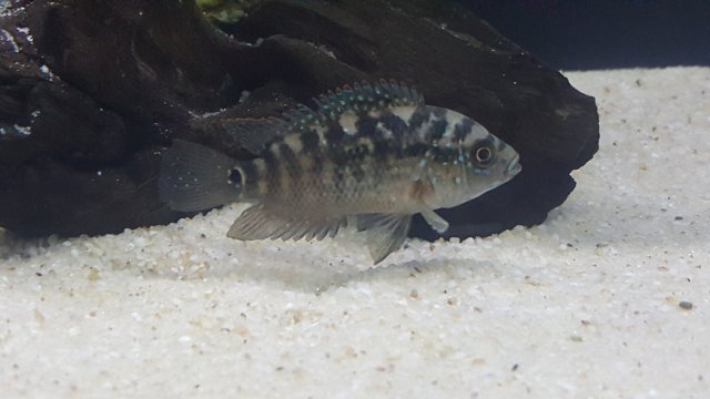 20170714_003214.jpg 20170714_003214.jpg