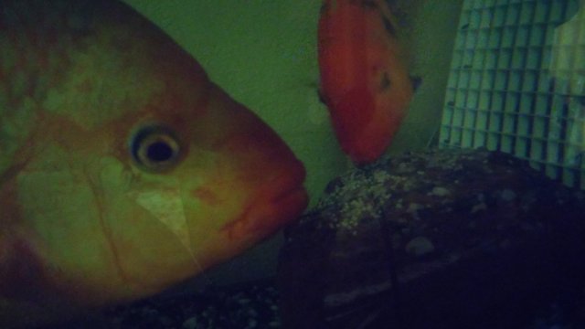 20170626_042530.jpg