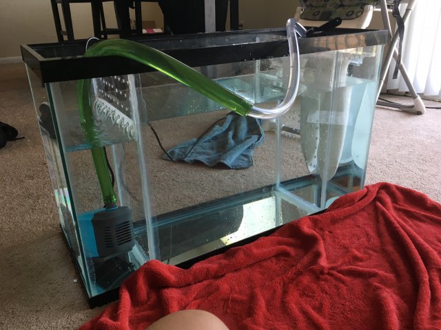 IMG_5593.JPG IMG_5593.JPG