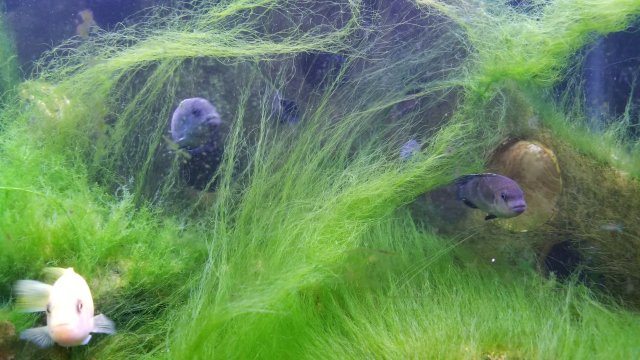 20170713_203923.jpg