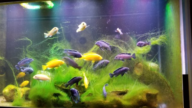 20170713_203705.jpg