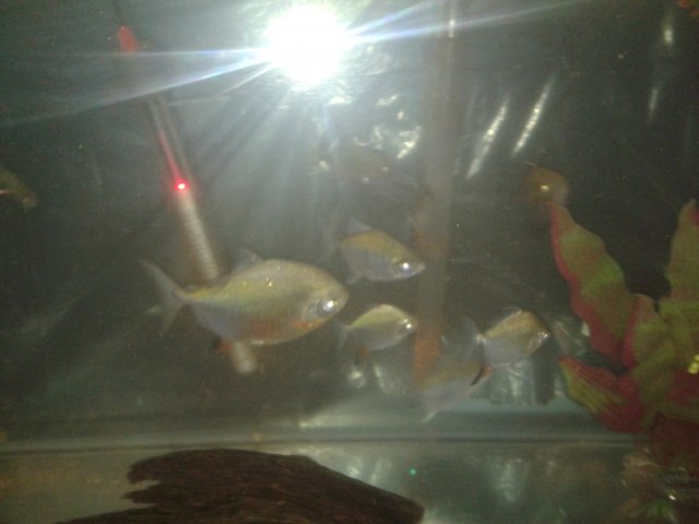 20170715_142123.jpg 20170715_142123.jpg