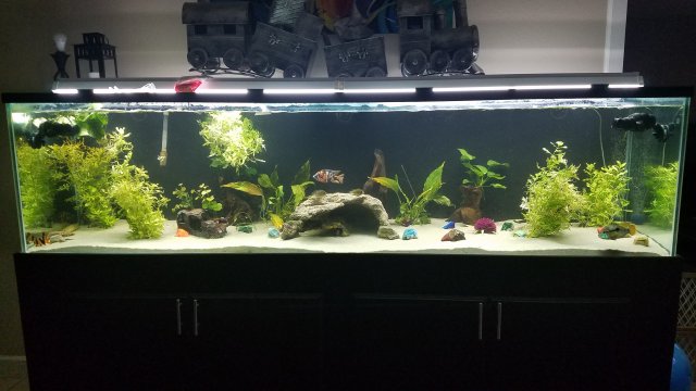 20170716_080529.jpg 20170716_080529.jpg