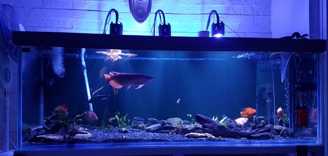 20170716_221451.jpg 20170716_221451.jpg