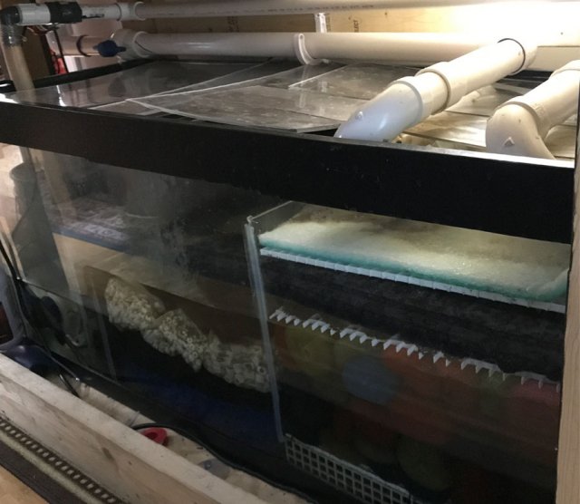 sump.jpg sump.jpg