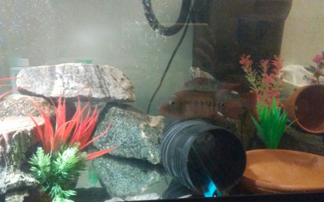 TMA: Tue Jul 18 2017 20:50:26 GMT-0400 (EDT).jpg