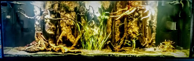 20170719_193235~2.jpg 20170719_193235~2.jpg