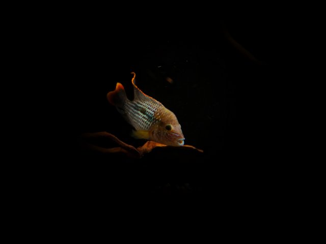 20170718_201812_edit.jpg
