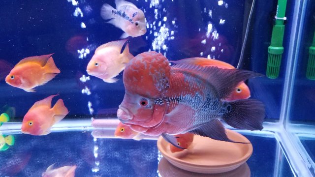 20170709_192848.jpg