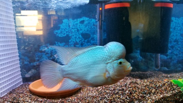 20170625_162136.jpg