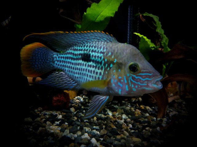 20170718_202048_edit (Large).jpg