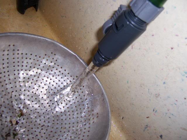 100_0528.jpg