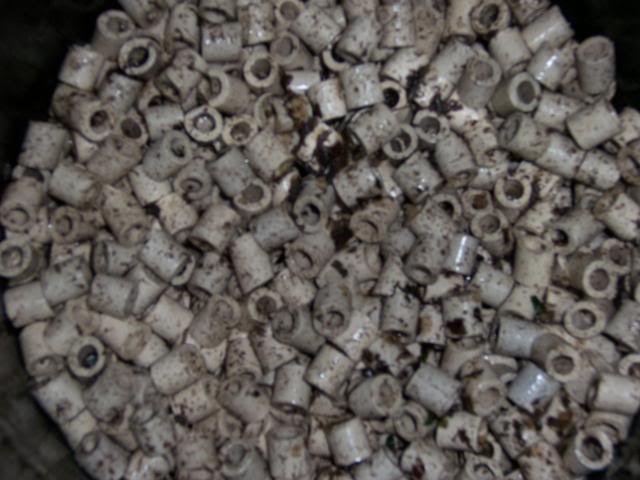 100_0536.jpg