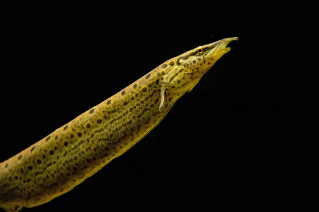 19620981_1619690724716266_473551180209296654_o.jpg 19620981_1619690724716266_473551180209296654_o.jpg