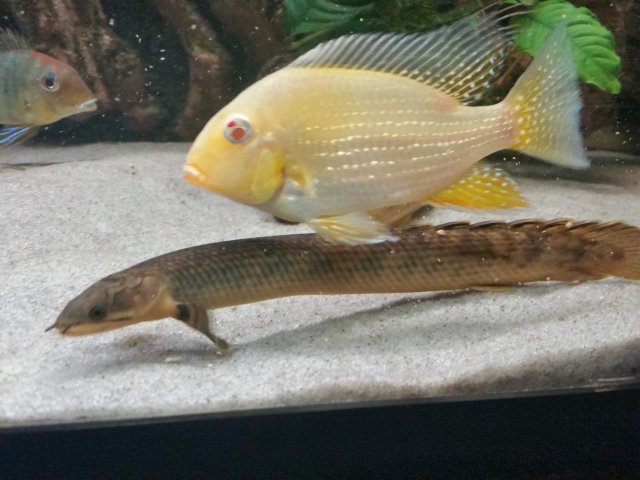 20170721_182549.jpg 20170721_182549.jpg