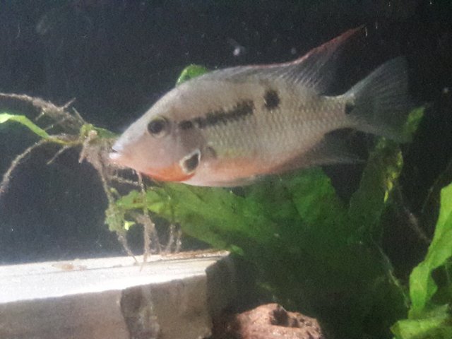 20170628_115945.jpg 20170628_115945.jpg