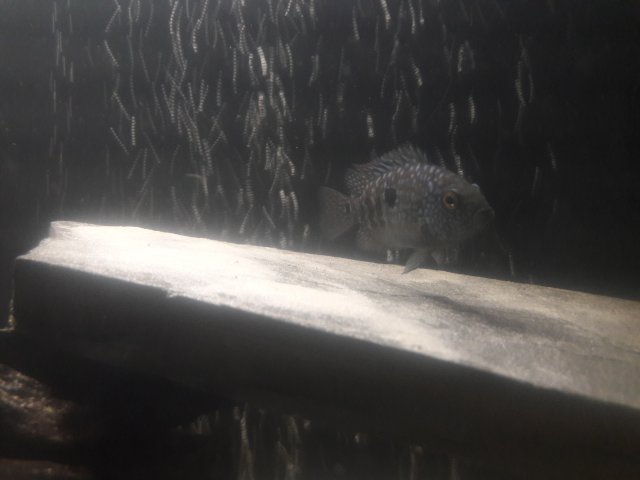 20170721_135808.jpg
