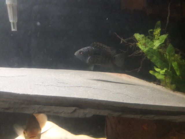20170709_223545.jpg 20170709_223545.jpg