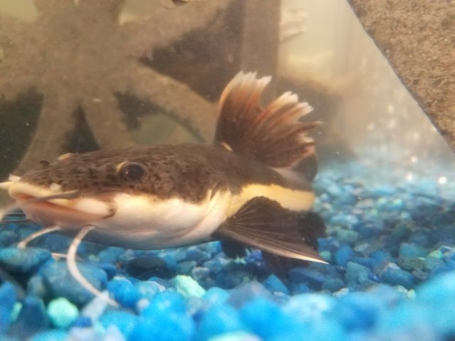 20170724_133433.jpg