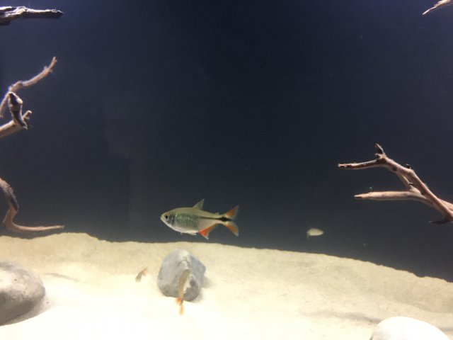 IMG_3171.JPG IMG_3171.JPG