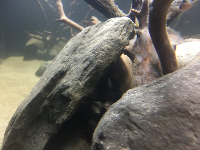 IMG_3173.JPG IMG_3173.JPG