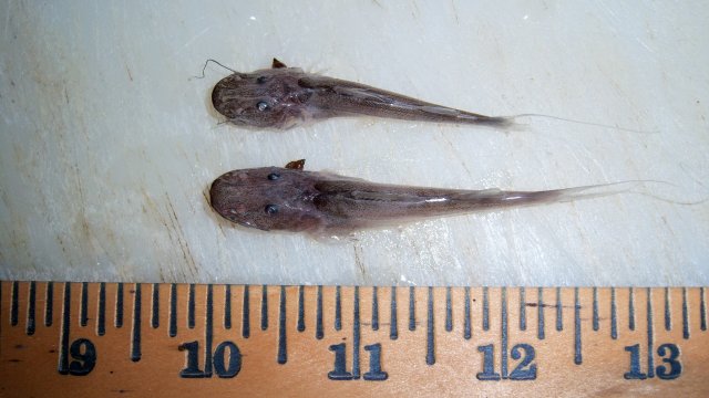 100_7918.JPG