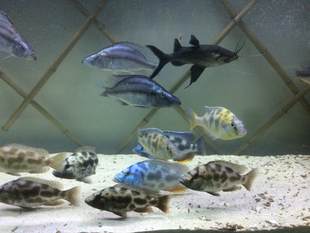 IMG_4857.JPG IMG_4857.JPG