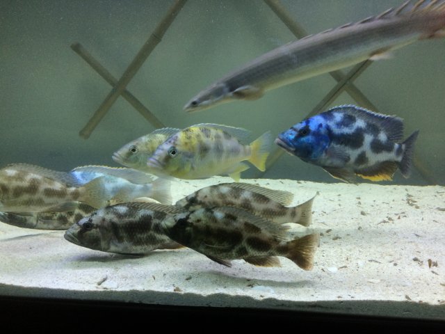 IMG_4859.JPG IMG_4859.JPG